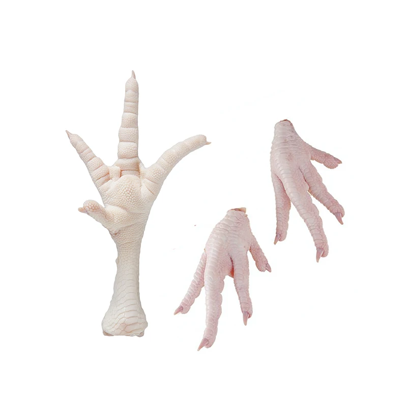 Premium Halal Top Selling Premium Halal Frozen Whole Chicken, Chicken Feet, Paws, Wings