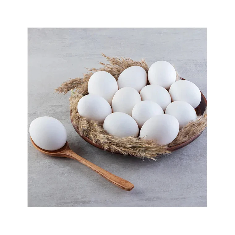 Fresh Eggs Private Label Manufacturers 100% Natural Suppliers Collagen Breakfast Food Chicken Eggs