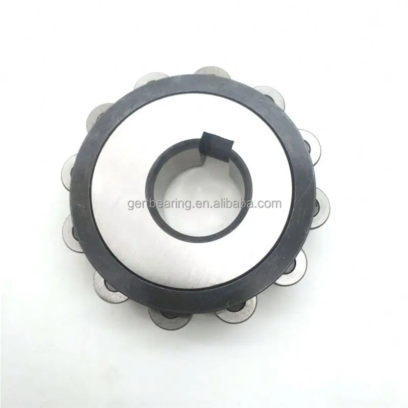 NTN RN204M Eccentric bearing RN204M Eccentric Roller Bearing