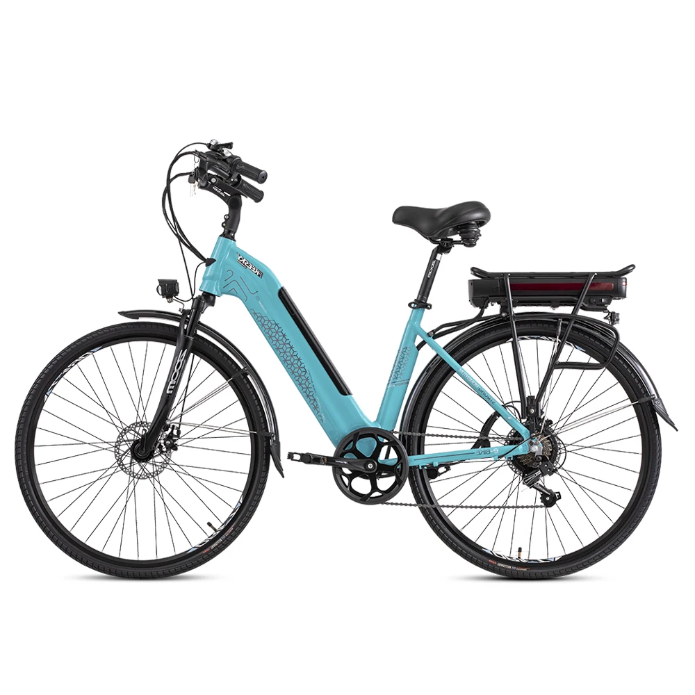 
Fashion electric Bicycle cargo ebike for city bike with double battery 48V 2.8AH 