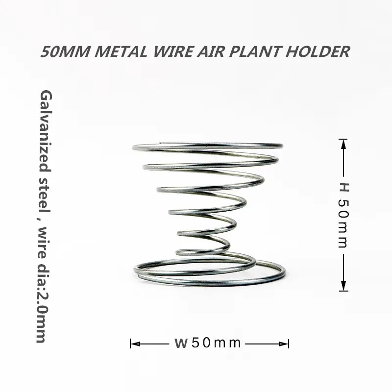 Air Plant Holder Tillandsia Display Holder Decorative Galvanized Steel Home Used with Flower/green Plant Metal,metal Steel