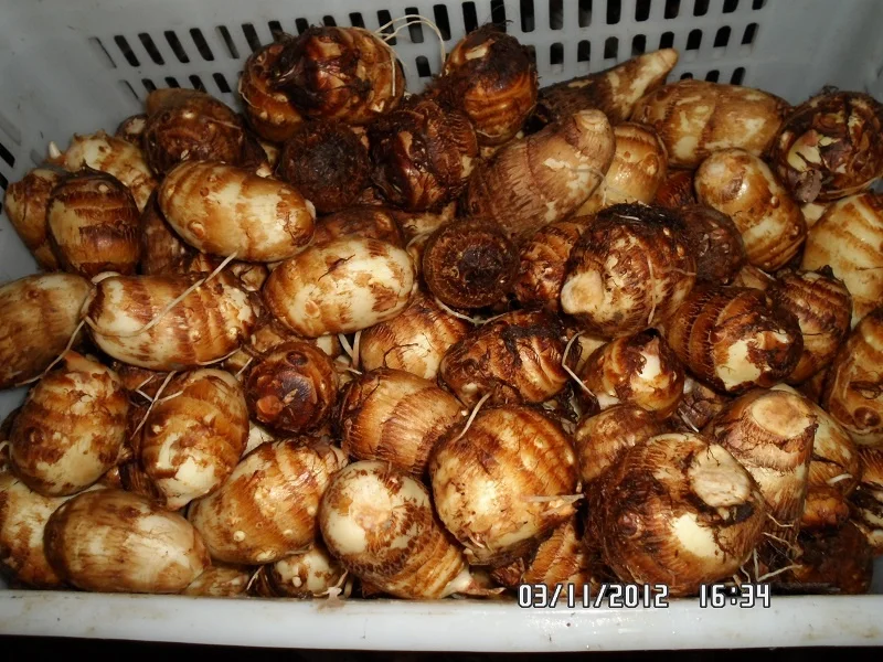 Китайский свежий Таро