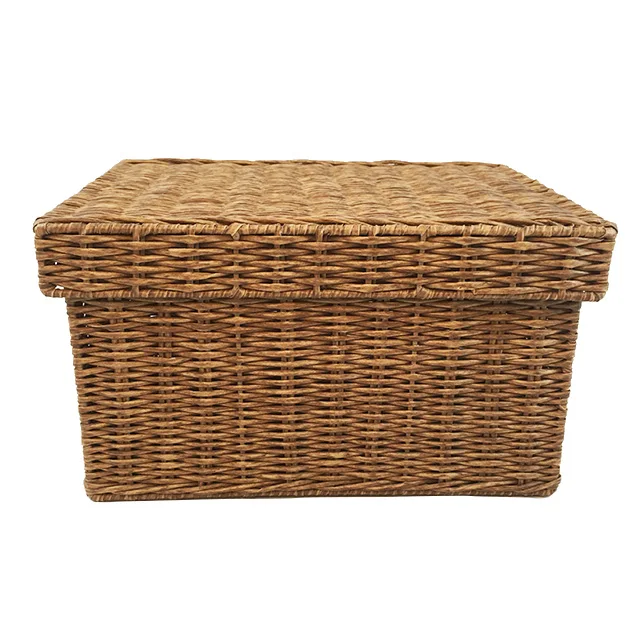 Renel PE Plastic Rattan Handmade Woven Wardrobe Closet Organizers Storage Boxes Plastic Box