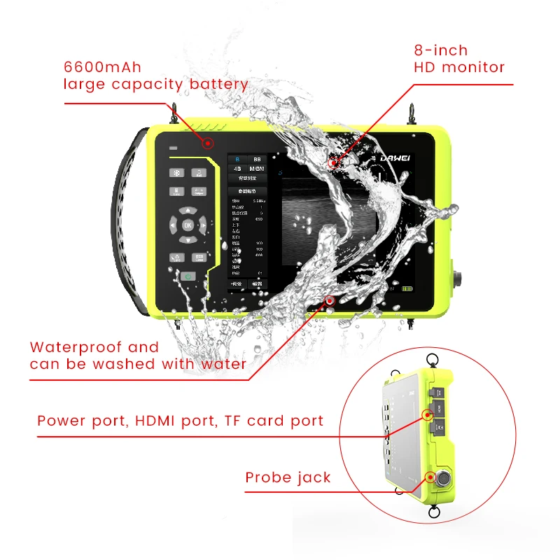 Veterinary Echo Scanner Animal Ultrasound Detection Machine for Cattle