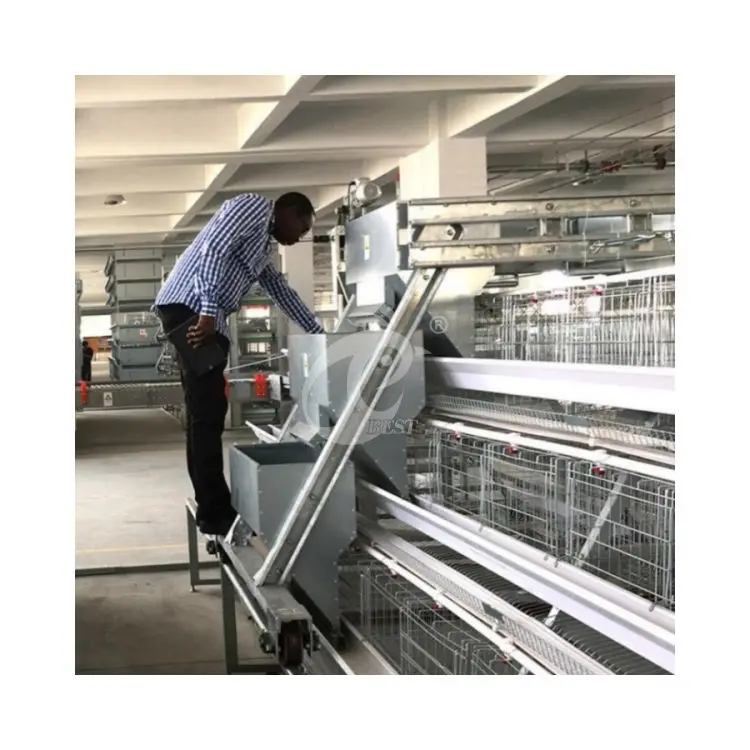 A Frame Automatic Layer Cage Egg Chicken Poultry Farm With Automatic Manure Removal System