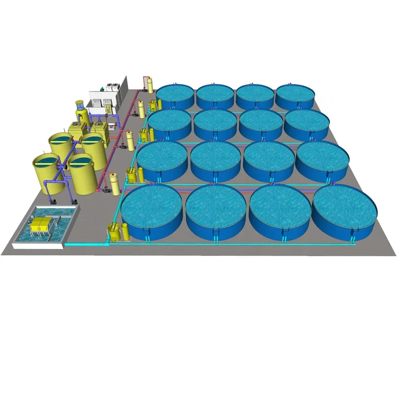 Indoor tilapia fish farm equipment RAS recirculating aquaculture system in Bangladash