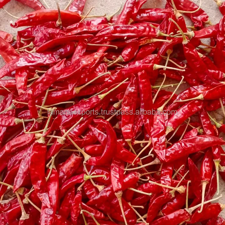 Guntur Super Dry Red Chilli S4 Sannam S334 Stemless India Chilli Premium Quality for China, Thailand