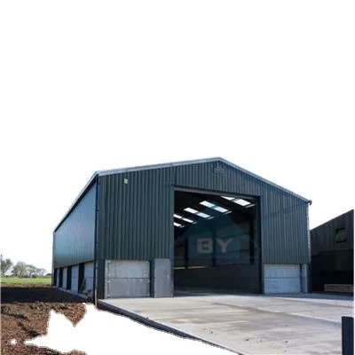 Prefabricated Light Steel Structure Metal Warehouse / Workshop / Hangar / Hall / Shed Steel Structures Building Price