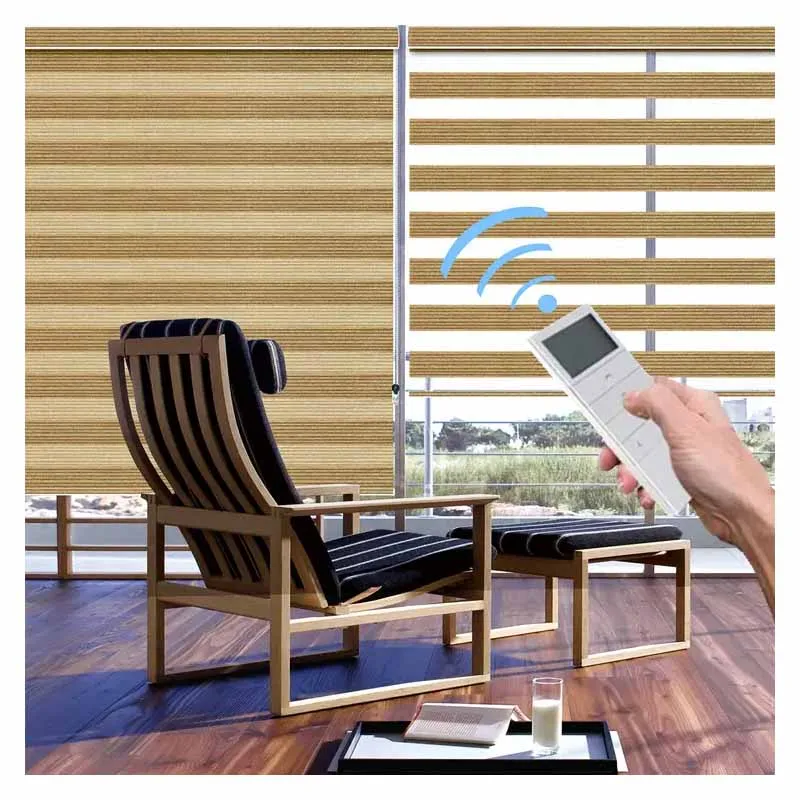 Motorized Wifi smart Home 100% Blackout double layer zebra blinds Indoor shade Window zebra roller blind