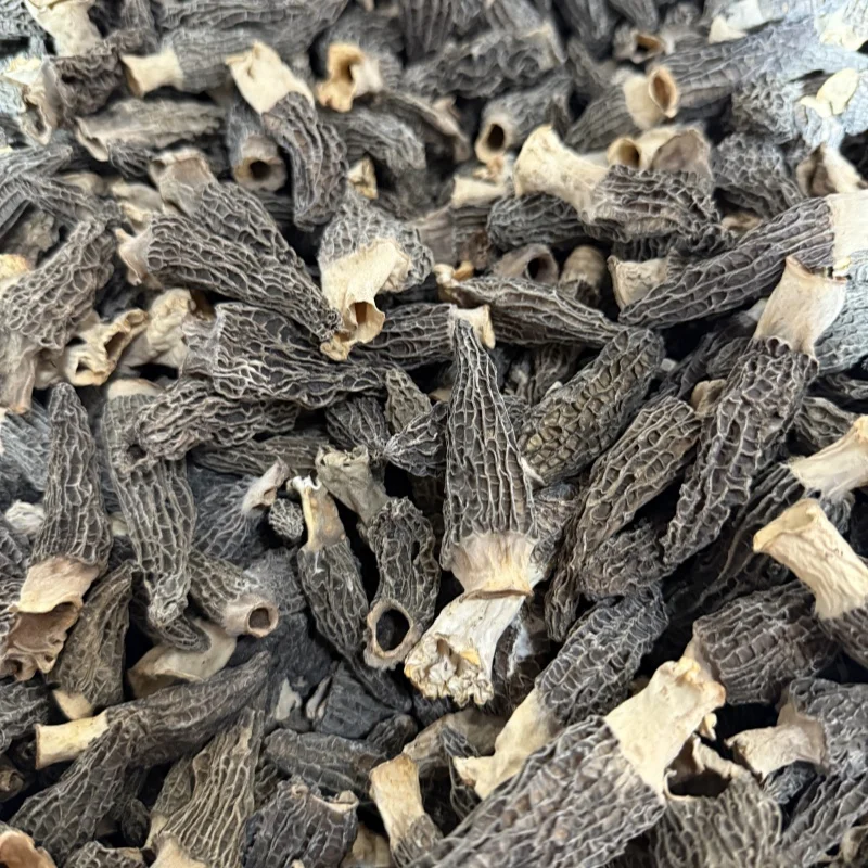 High Grade Small Size Morel Mushroom Healthy Vegetable Dried Morels