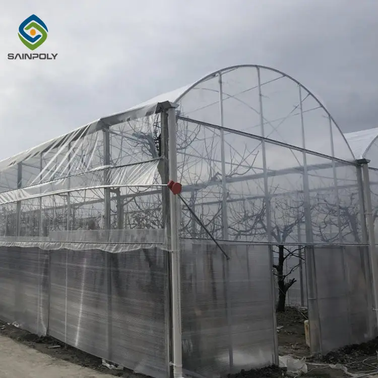 Commercial Hydroponic Plastic Film Green House Multi-span Agricultural Greenhouses