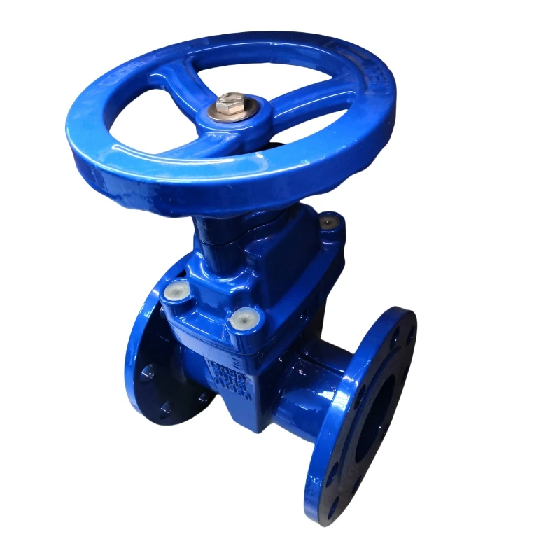 Cast Iron Valve Ductile Cast Iron Di Resilient Cast Iron Gate Valve