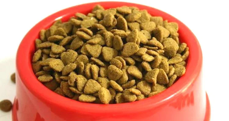 
dog food 