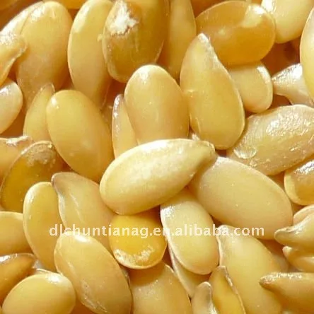 Top Selling Natural Golden Flaxseed Bulk Supplier