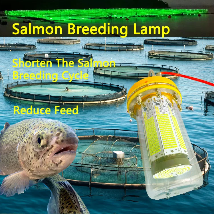 LED Fishing Lights  Underwater  1100W Deep Sea Green Fishing lights 8 Side Glow Plus Bottom Glow Salmon Farming light squid lamp