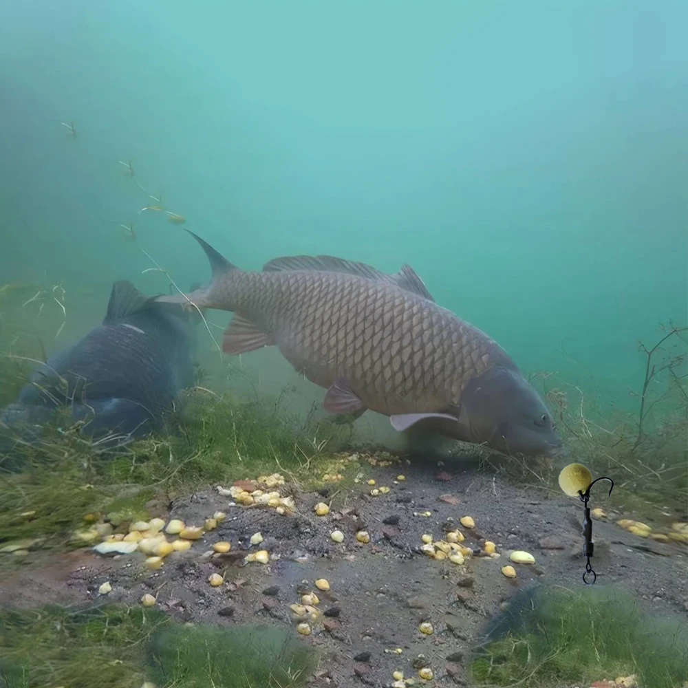 FTK 3pcs/pack Carp Fishing Hook Rigs Fishing Feeder Accessories High Carbon Steel Fishing Hook