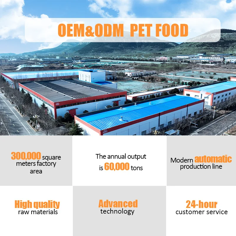 OEM ODM Factory Direct Supply High Protein Complete Nutrition Heathy Tuna Chieken Salmon Flavor Wet Pet Cat Food Treats