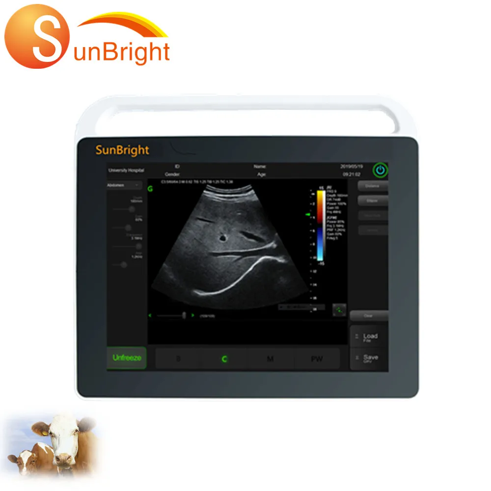 15 inch HD touch screen monitor ehco veterinary portable B/W ultrasound machine