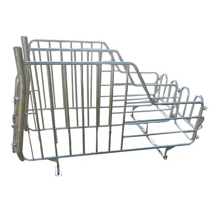 Double pig farming equipment farrowing crate / Piggery Gestation pens