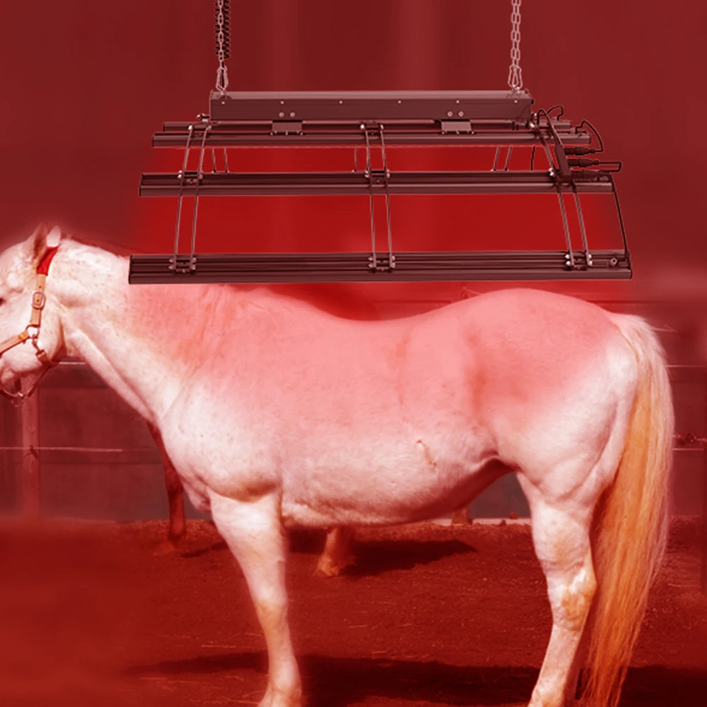 Stable Horse Full Body Therapy Solarium Pony Light Therapy Red Infrared Horse Light Horse Solarium