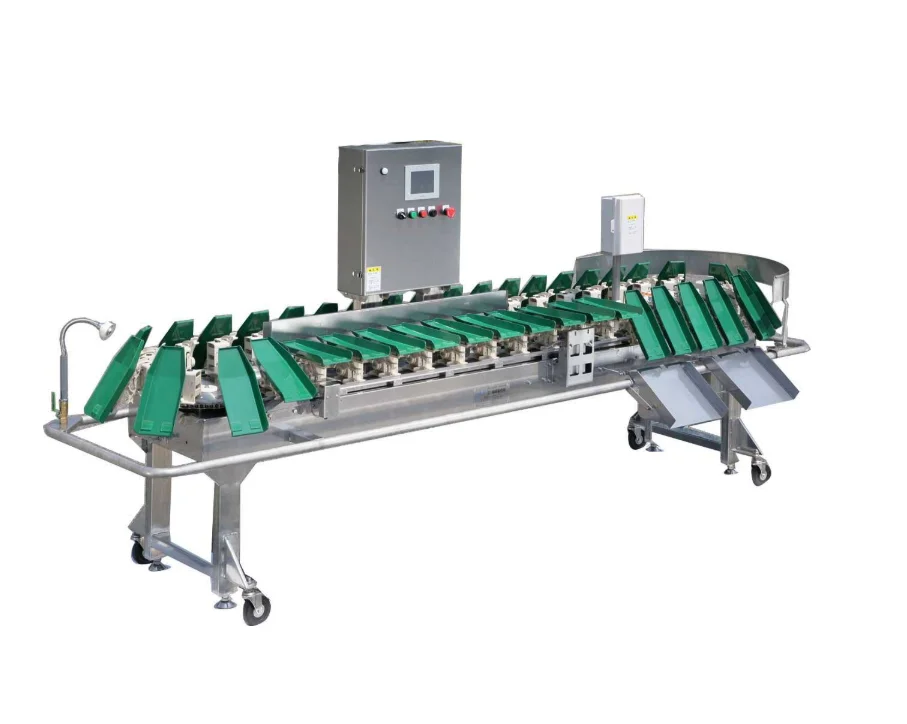 pickles cucumber making machine automatic fresh cucumber cleaning machine cucumber slicer machine