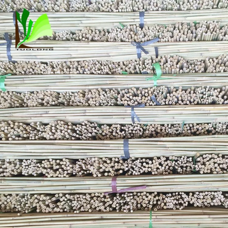 12-14mm  Dry Raw Bamboo Poles Stake for Plant Support