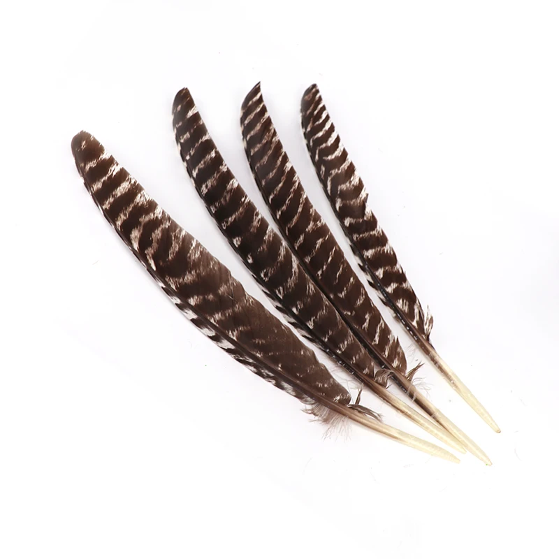Feather Wholesale 30-35CM Natural Plumas Patterned Turkey Wing Feathers for crafts Arrows decorations