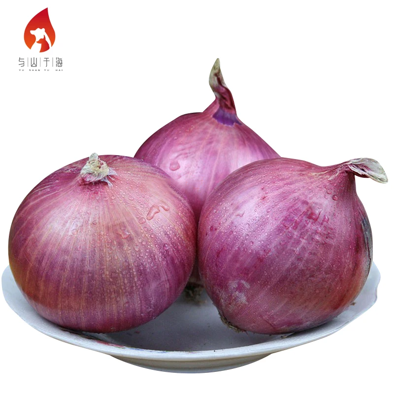 2022 New pure food onion cheap bulk price ton fresh red onions