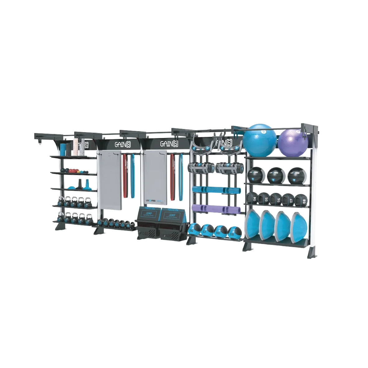 LIVEPRO GYM Commercial Storage Rack with Bulgarian Power Bag Multifunction Gym Fitness Storage Rack for Medicine Wall ball