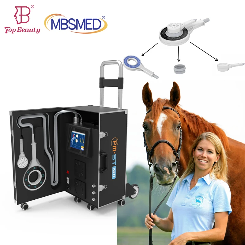 Professional Vet Horse Equine Pmst Physical Magnetic Therapy Physical Therapy Pain Relief Electromagnetic Physiotherapy