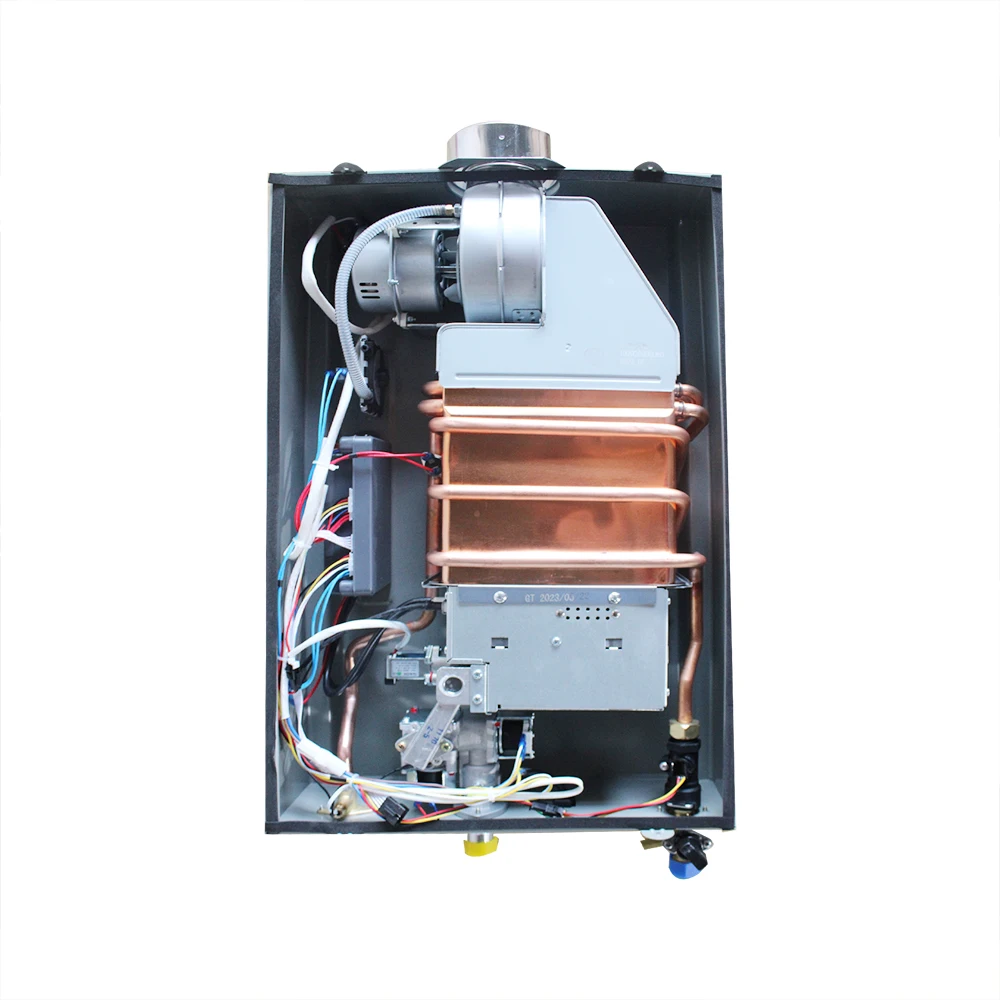 Water Heater Smart Thermostat Balanced Exhaust Gas Water Heater With Double Pipe