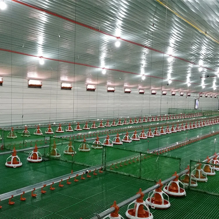 Light steel prefab poultry barns poultry slaughter house galvanized