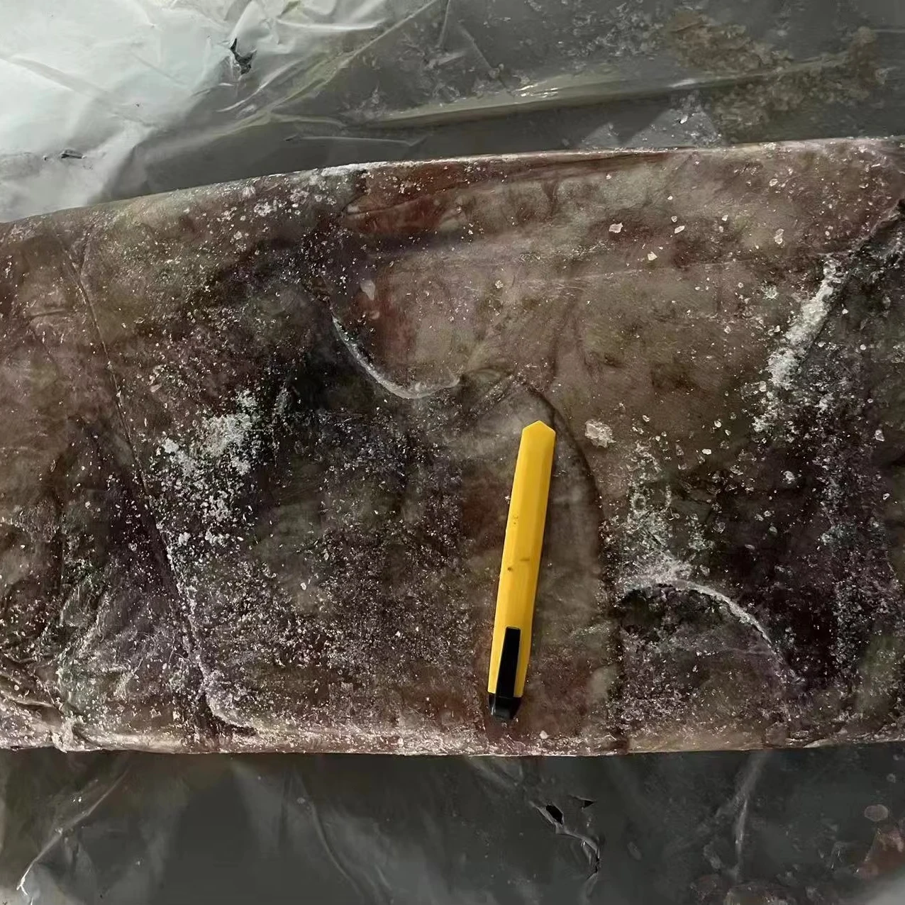 Peru squid dosidicus gigas  wings With skin  dosidicus gigas wings Peru Squid wings with skin Skin on