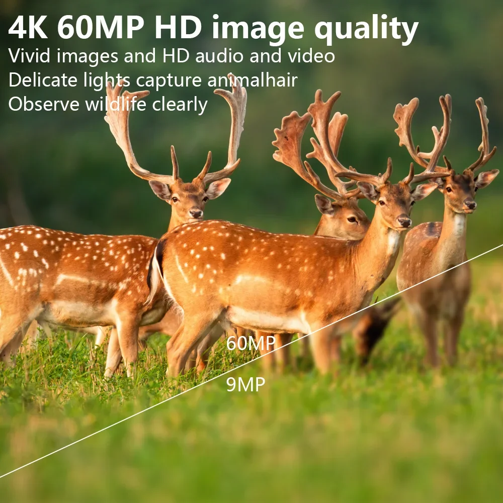4K 60MP WIFI HD Night Vision Wild Game Trail Camera Traps with APP Control 120 Degree Angel lens for Home Security Hunting