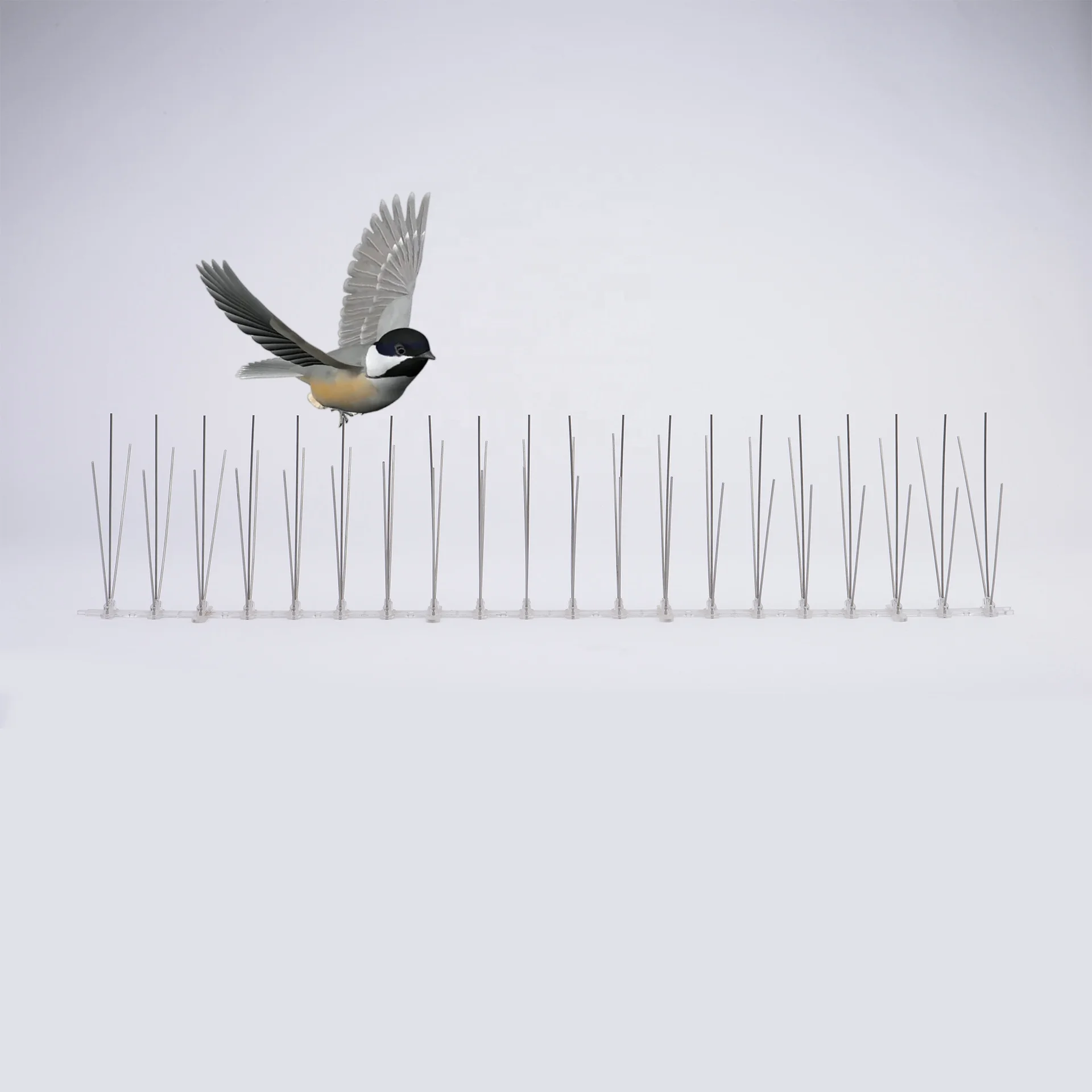 Best Price Fence Plastic Base SUS304 Anti Pigeon Spikes Bird Spikes