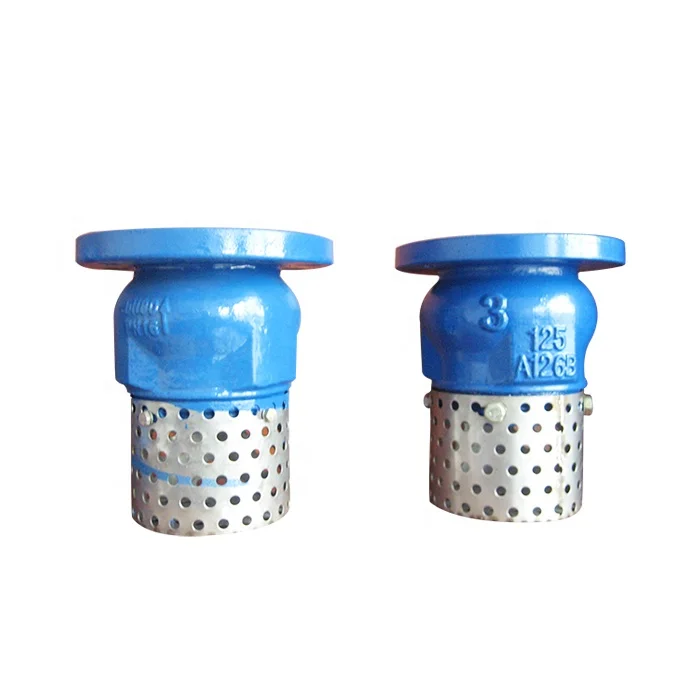 Ductile Iron Water Pump Flanged Foot Valve with Strainer