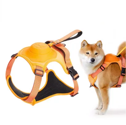 OEM Factory Lead Pvc For Dog Leash With Brass Accessories