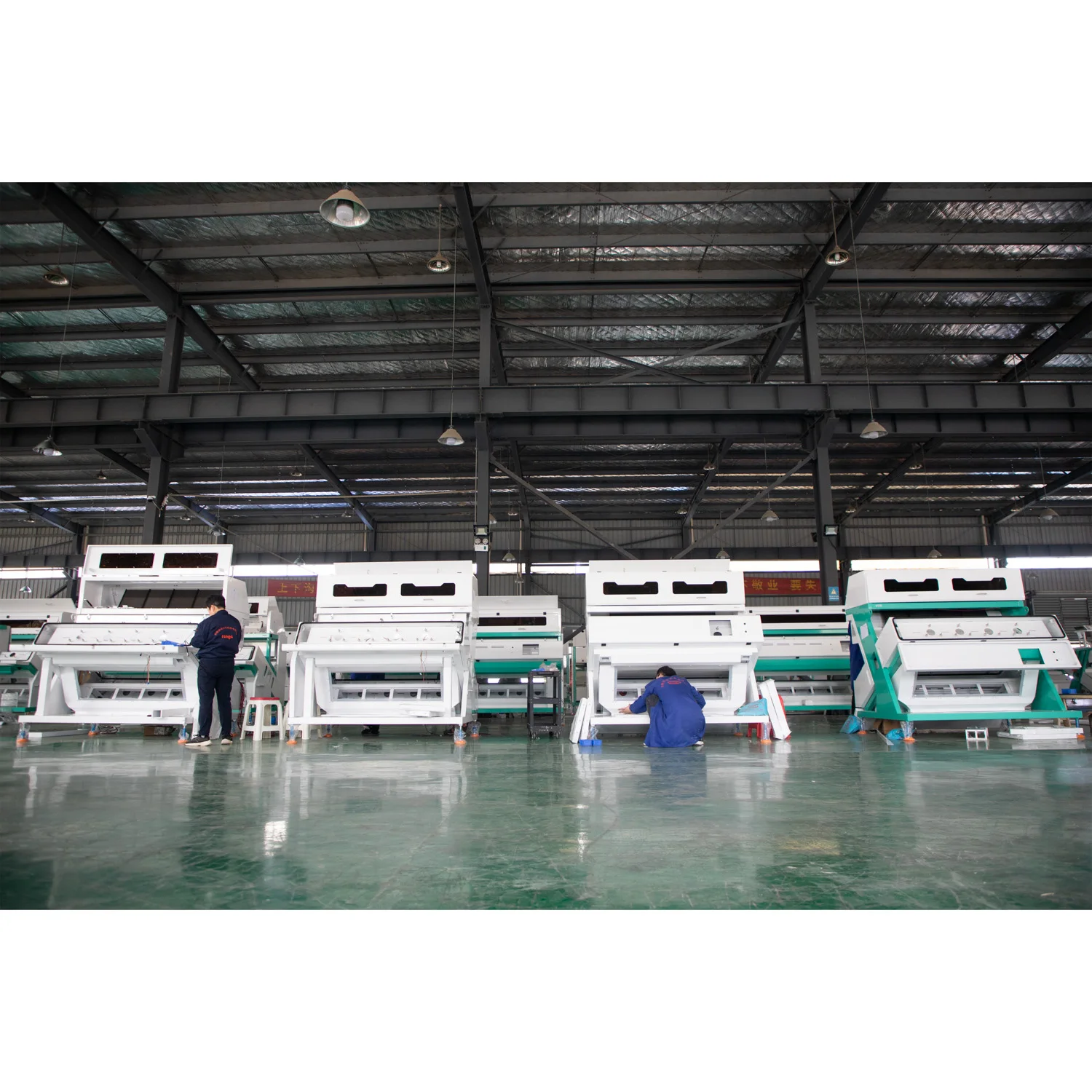 1 chute ccd rgb sunflower seeds sorting machine