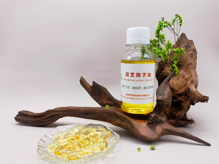 Organic Pure Lucidum Spore Oil Reishi Mushroom Spore Oil Supercritical Extraction reishi extract