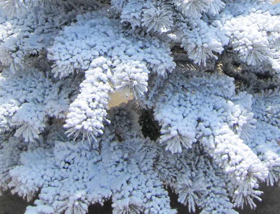 White flocking powder for artificial Christmas tree flocking with snow