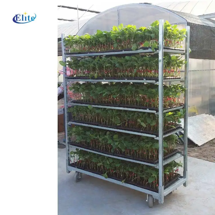 Plant transport trolleys flower pot carts hand trolley manufactures Cc Container Danish Trolley