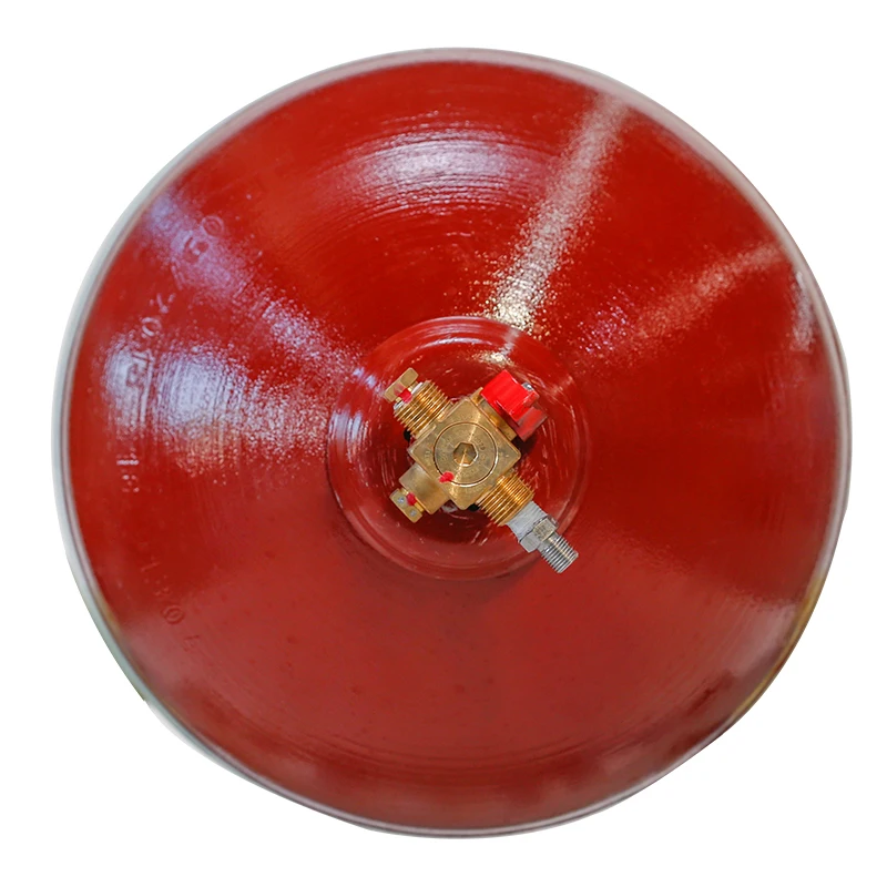 Type 2 Hot Sale High Pressure CNG Cylinder Car Compressed Natural Gas Storage Container Tank