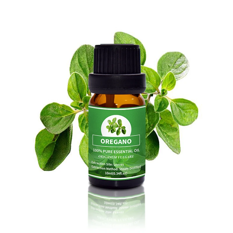 Manufacturers Wholesale Trade Bulk Price Private Label 100% Natural Organic Wild Oregano Essential Oil, Pure Oil Of Oregano