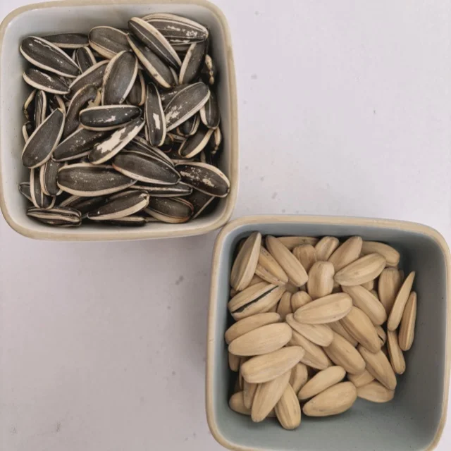 Wholesale Chinese Roasted Sunflower Seedsoriginal flavor Melon Seeds 361 Processed