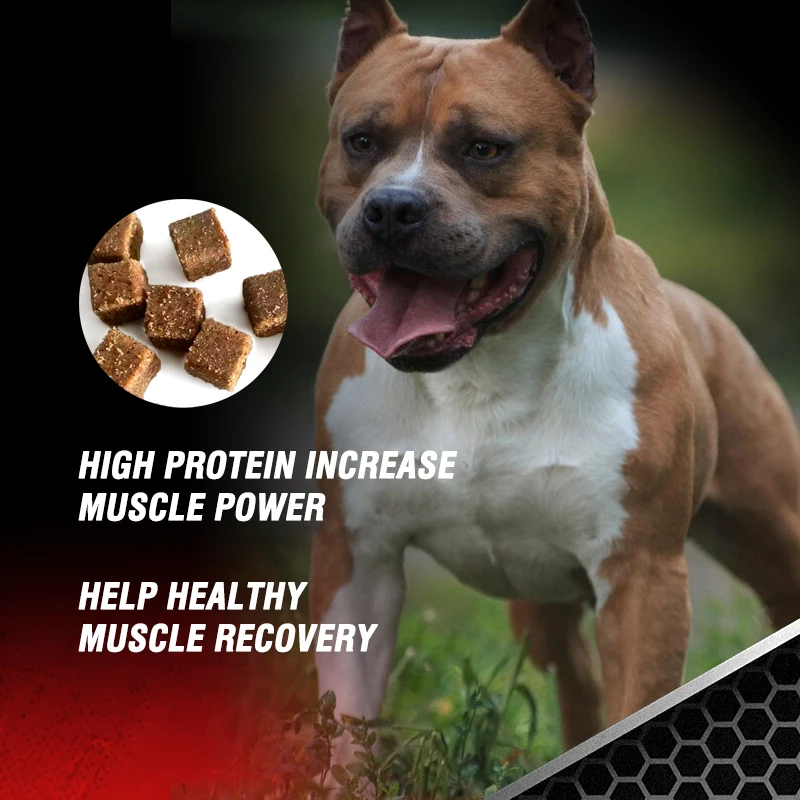 OEM ODM Dog Muscle Builder Bully Max All in One High Protein Muscle Gainer Dog Training Supplement