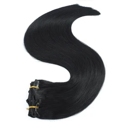 XCCOCO 100% Russian Human Remy Clip On Hair Extensions Wholesale Natural Seamless Indian Clip In Hair Extension