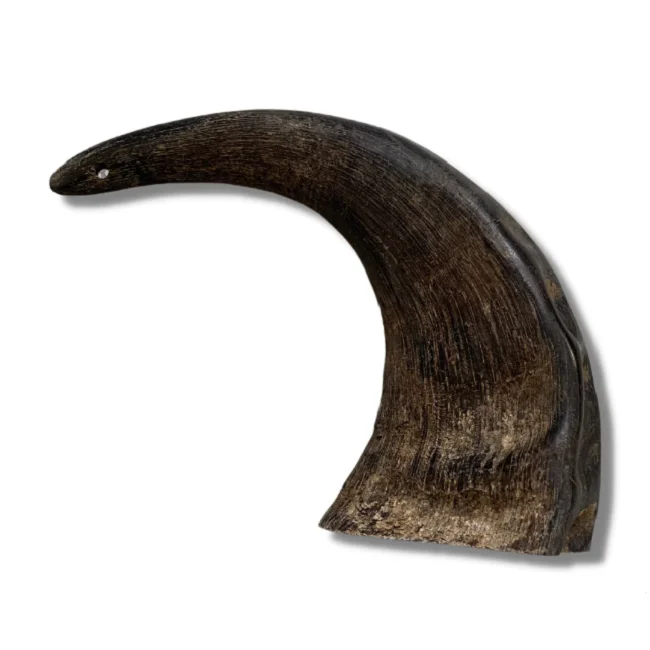 100% Buffalo Horns Natural Quality Ready For Export Buffalo Top Quality good quality customized For Sale