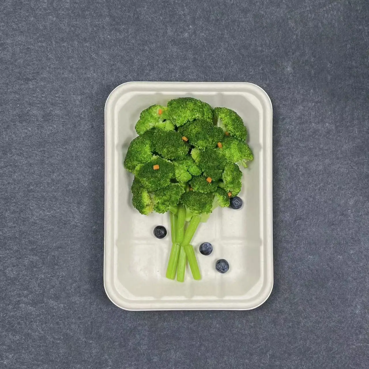 High Quality Disposable Bagasses  Plates Food Dinner Set Disposable compostable Plate  Bagasse Eco Friendly240423 tableware