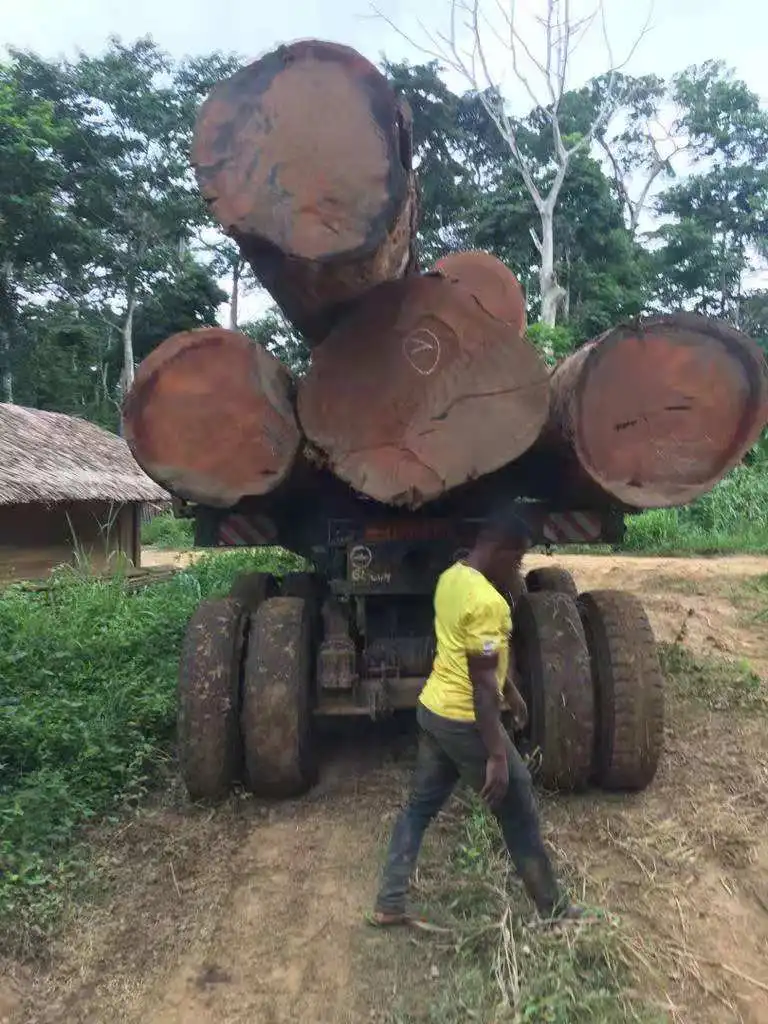 Azobe Round Log Hardwood from Cameroon With Low Price Cheap Round Log Cameroon Wood