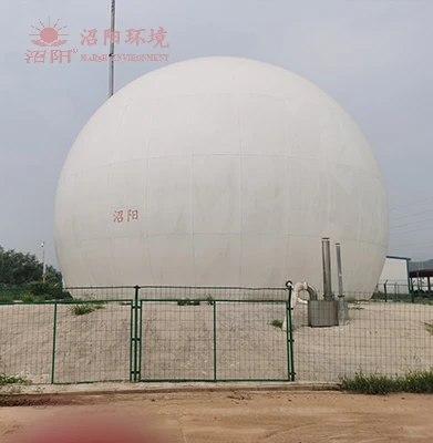 biogas balloon/biogas cabinet/double membrane biogas holder